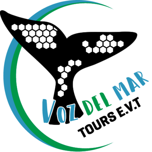 cropped-vozdelmar-logo-final-curvas